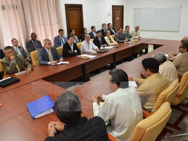 Правительство Колумбии и РВСК достигли договоренности о создании «комиссии правды» - ảnh 1